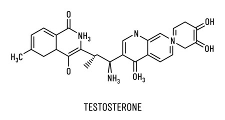 Fototapeta premium Testosterone chemical structure diagram representing male hormone 