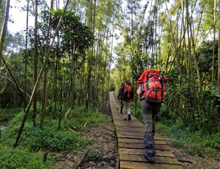 OUGANDA, safari et randonn&eacute;e au c&oelig;ur de l'Afrique.
Randonn&eacute;e dans la chaine des volcans Virunga, en direction du volcan Sabyinyo