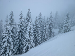 Fototapeta premium Passy Mont Blanc Ski Area Winter Alpine Landscape