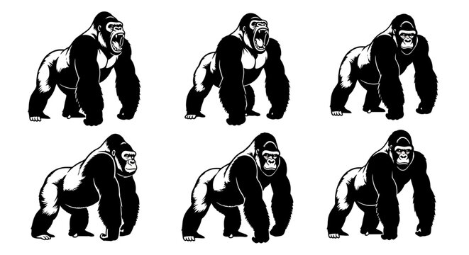 Powerful gorilla mascot vector set, 6 silverback ape character poses in black and white, aggressive primate silhouettes for sports logos and branding