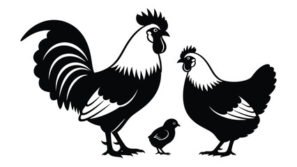 A rooster and hen with a chick © SILHUETTECHEMBER