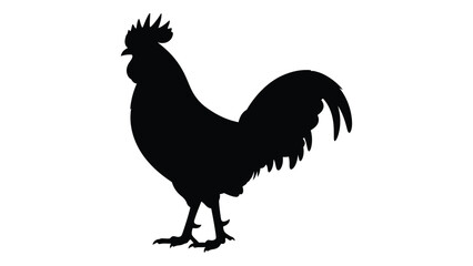A black silhouette of a rooster standing on a surface © SILHUETTECHEMBER