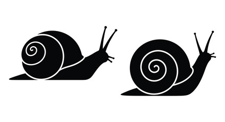 Two black snails with swirling shells are depicted in a dark silhouette © Rina