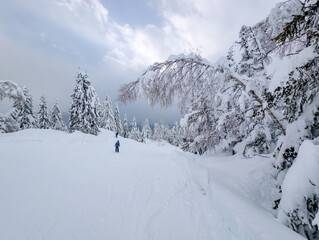 Fototapeta premium Passy Mont Blanc Ski Area Winter Alpine Landscape