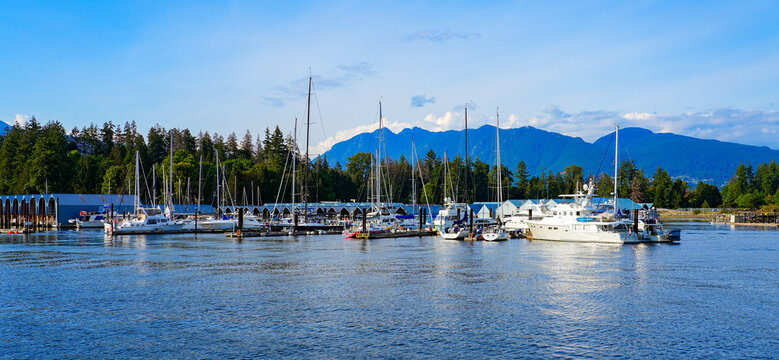 Boats docked in Bayshore West Marina in front of Stanley Park in Downtown Vancouver, British Columbia, Canada