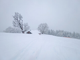 Obraz premium Cordon Ski Slopes Winter Alpine Landscape