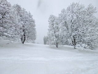 Obraz premium Cordon Ski Slopes Winter Alpine Landscape