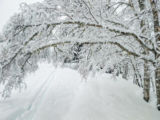 Cordon Ski Slopes Winter Alpine Landscape