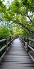 Fototapeta premium Wooden boardwalk forest walkway green path through lush trees and foliage with rustic railing leading into a serene natural canopy and tranquil trail