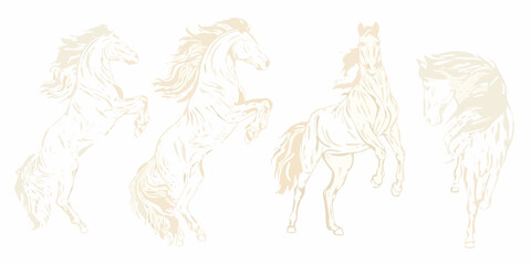 Elegant horses in various poses a sketched monochromatic composition