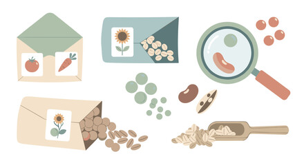 Various seeds and gardening supplies are neatly arranged, showcasing different types of plant seeds for cultivation and agricultural projects.