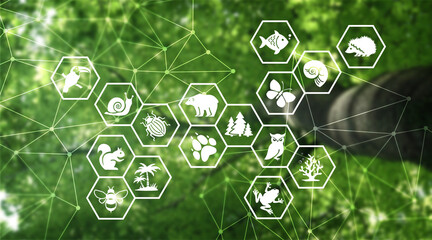 Biodiversity illustraion. Green banner with forest tree background & green foliage and icons related to animals from various biospheres, wildlife conservation, habitat & environmental protection.