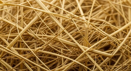 Obraz premium Dry straw fibers in close-up view for natural texture