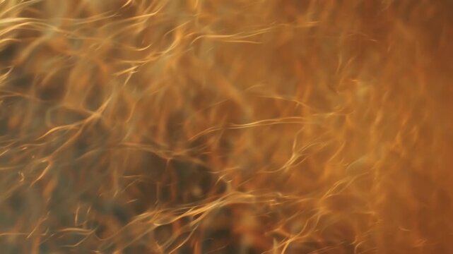 Abstract orange gradient background with smooth color transitions from deep amber to soft peach, minimal modern design, soft glowing light, subtle texture and gentle light diffusion, clean and elegant