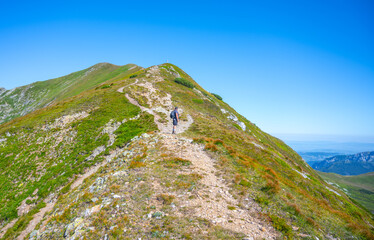 Fototapeta premium Hikers traverse the winding path on Bystra Mountain, enjoying clear blue skies and the lush greenery typical of the Tatras in Slovakia. A serene adventure through nature's beauty awaits.