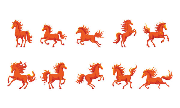 Chinese zodiac firehorse vector graphic illustration set