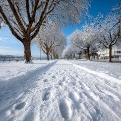 Fototapeta premium Wintery tree-lined pathway in urban park with fresh snow