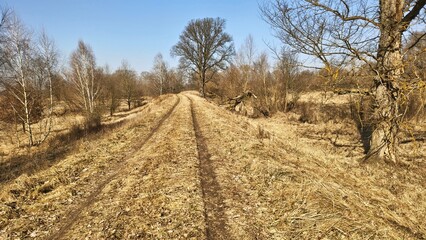 Słoneczny, wiosenny dzień. © WalDec