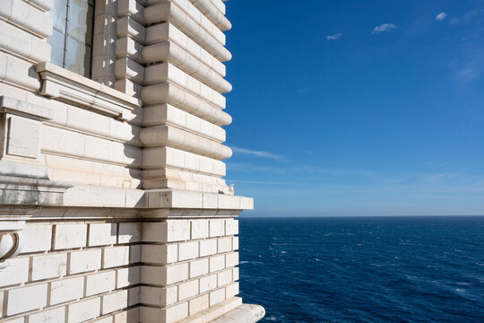 Seagul on Monaco Museum