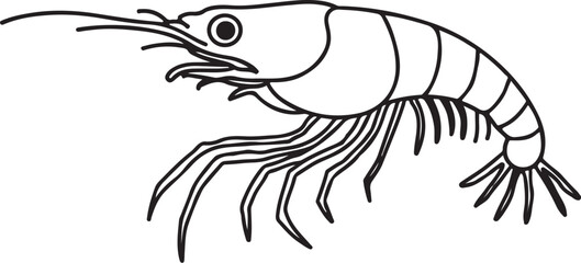 Prawn Hand-drawn Sketch Drawing Vector Illustration, Line Linear Symbol Black and White Engraving, Isolated