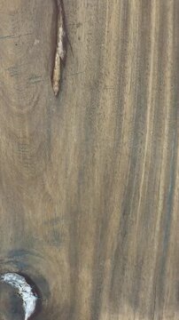 eucalyptus wood in close-up. red noble wood. valuable wood.