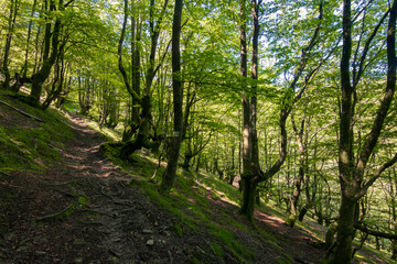 Fototapeta premium Scenic landscape from the summit of Mount Andasto in Urkiola Natural Park, Basque Country, Spain.