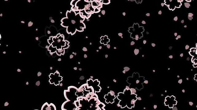 桜 花びら 枠あり 回転 下降 パターン01 桜色 ループ（黒背景）