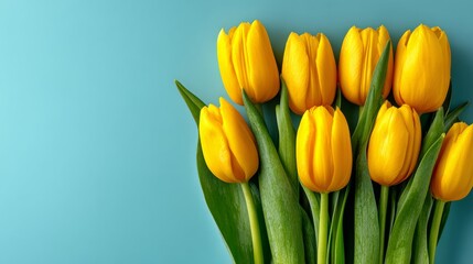 Naklejka premium Yellow tulips arranged with green leaves on a light blue background, showcasing vibrant floral colors and natural beauty in a simple composition