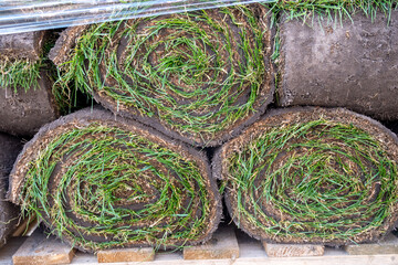 Spring garden renovation works with sods, professional laying of new turf rolls of real grass, fertilising and ploughing, stack of rolls for perfect lawn