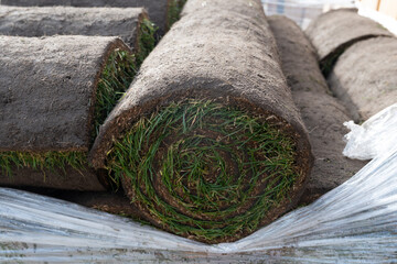 Spring garden renovation works with sods, professional laying of new turf rolls of real grass, fertilising and ploughing, stack of rolls for perfect lawn