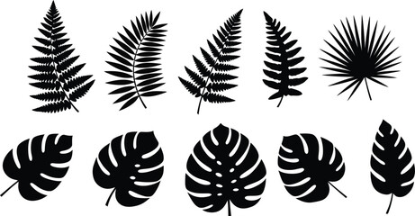 Obraz premium Collection of various tropical leaf silhouettes