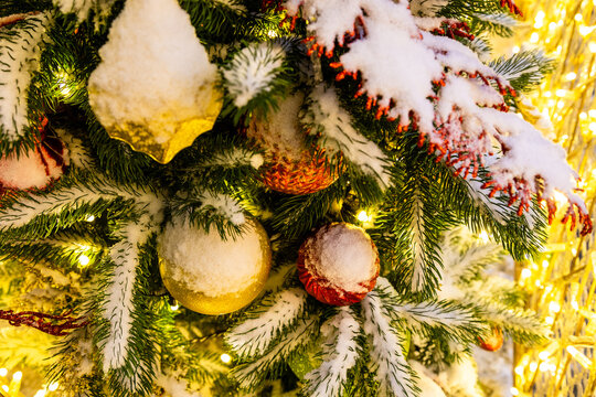snow-covered banch of christmas tree with balls
