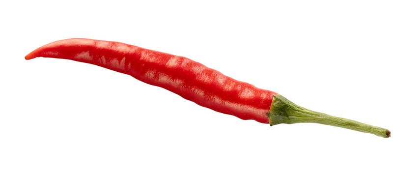 natural fresh red Bird's eye pepper isolated on white background from Thailand