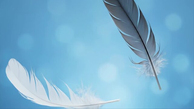 Two feathers, one white and one dark, drift gently through a soft blue sky. They float gracefully, symbolizing lightness and peace.