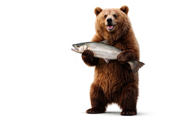 Fototapeta premium Brown bear holding a large fish on a white background. Space for text.