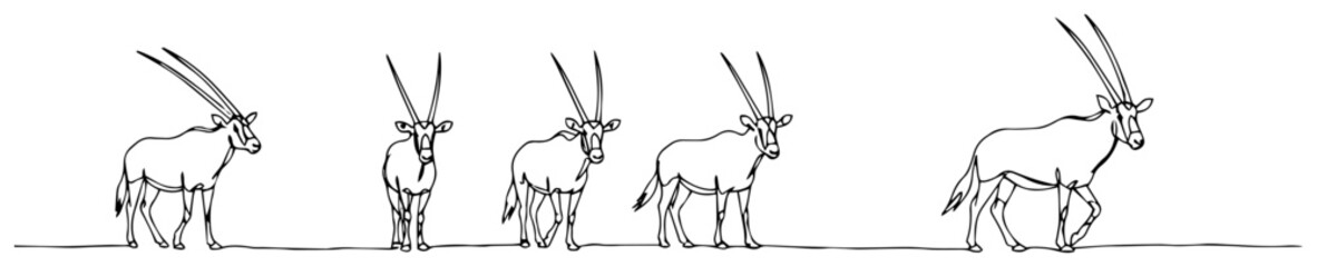 Herd of oryx antelopes walking in the desert continuous line drawing, african wildlife safari animals set © ----WWWLINE----