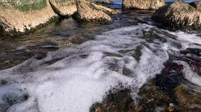 Fresh subterranean water flow enters the Black Sea (Pontus Euxinus), with shell limestone stones (calcarenite) encrusted by algae and mollusks.