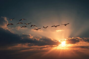 Obraz premium Flock of Birds Flying in V Formation Against a Dramatic Sunset Sky.