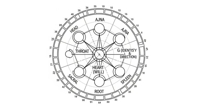 Diagram of the human energy system with chakras and aura.