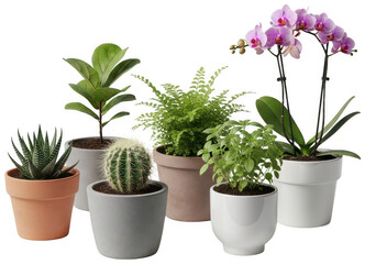 Obraz premium potted plant png indoor plant pot png houseplant decor png transparent background image