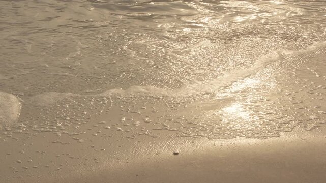 Slow motion footage of ripples of sea water on the seashore during golden hour sunset. 4K, 24 fps, h265, 10 bit.
