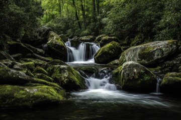 Lush Green Forest Stream with Cascading Waterfalls and Mossy Rocks.