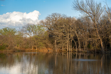 Fototapeta premium Lake and Trees at Cedar Hill State Park
