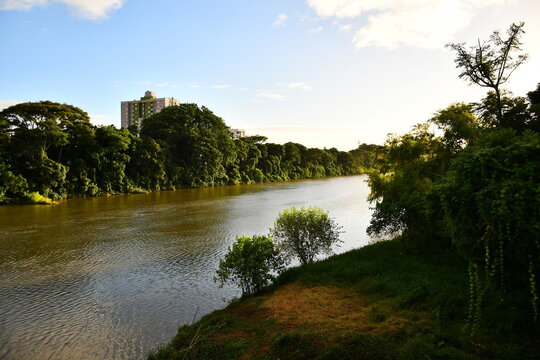 Paisagem fluvial urbana ao p&ocirc;r do sol com mata ciliar e silhueta de pr&eacute;dios
