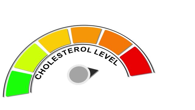 Cholesterol Level Meter With Color Indicators gauge.
