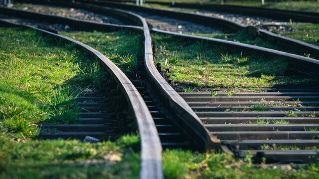 Sunlit railway in the grass