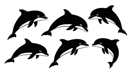 Obraz premium Group of Six Black and White Dolphins Leaping and Swimming in Water