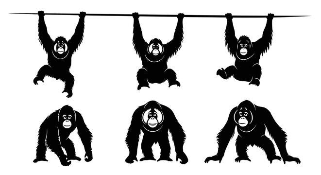 Orangutan Silhouette Collection: Hanging, Sitting, and Walking Poses