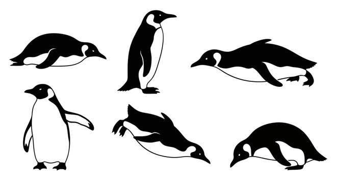 Penguin Poses Collection: Diverse Actions of Emperor Penguins in Black and White