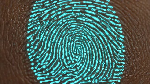 Close-up of a human fingerprint, showing unique skin ridges